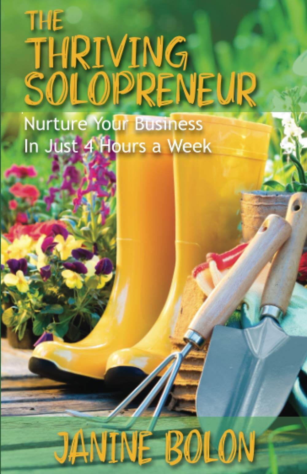 A picture of the book, "The Thriving Solopreneur".